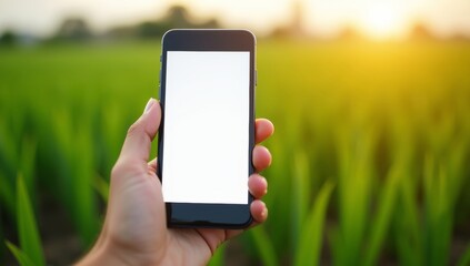 Hand holding smartphone with blank screen for business communication