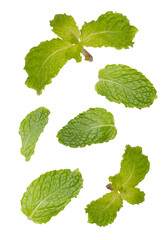 Green mint sprigs with stems and leaves, isolated on white background, ideal for food, drink, herbal, and garnish themes 