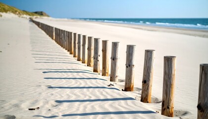 Coastal wooden posts on a sandy beach