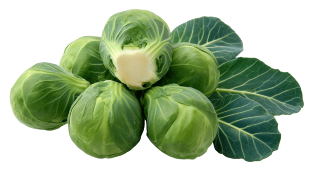 Brussels sprout isolated on transparent background with fresh green leaves and healthy texture