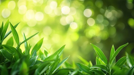 Green leaves against a blurred green background with bokeh effect. The natural green color of the leaves contrasts with the blurred background, creating a visually appealing image.