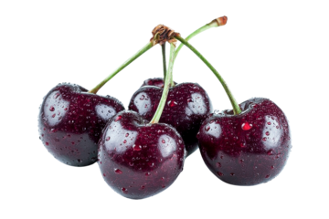 fresh cherries with water droplets on transparent background.