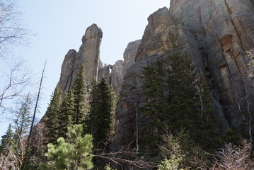 custer state park south dakota