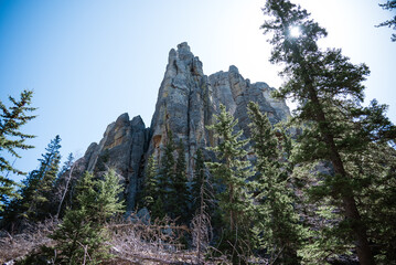 custer state park south dakota