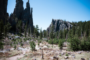 custer state park south dakota