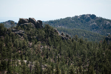 custer state park south dakota