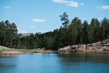 custer state park south dakota