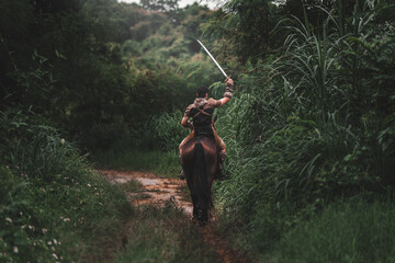 Warrior on Horseback in Lush Green Forest During Dramatic Journey