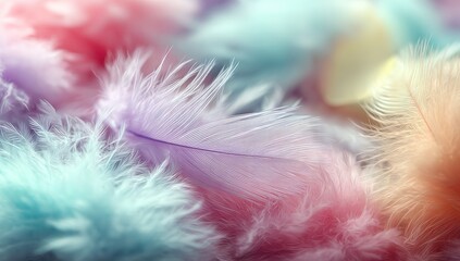 A close-up view of pastel-colored feathers.