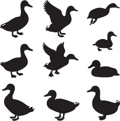 Black duck silhouettes in various poses waterfowl bird