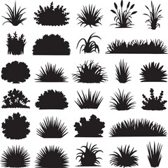 Diverse plant silhouettes including grasses bushes and reeds plants