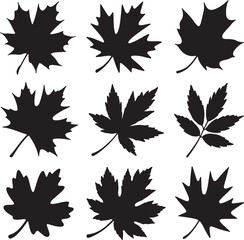Black leaf silhouettes on white background autumn fall