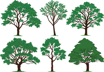 a-collection-of-twelve-stylized-trees--each-isolat (5).eps