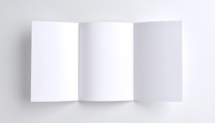 Blank tri-fold brochure, opened flat on a white background
