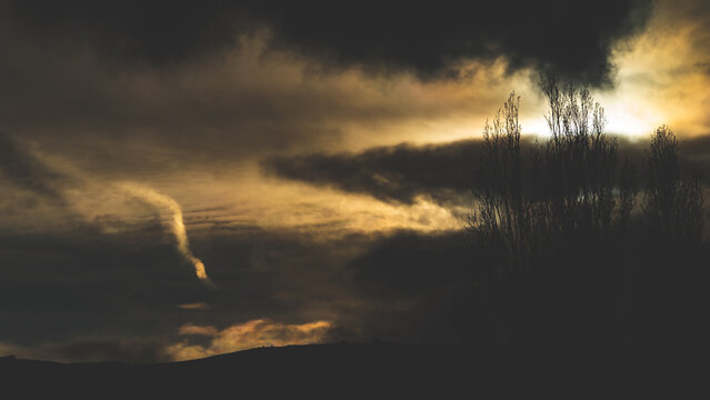 winter gloomy dark landscape views mountains hills through fog and trees cromwell new zealand - Powered by Adobe
