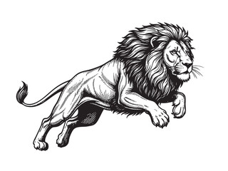 Majestic vector illustration of a jumping lion, capturing its power and predatory grace. Wildlife Animals.