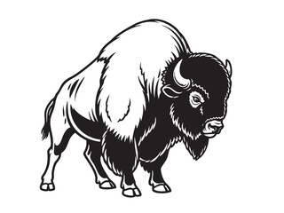 Powerful black and white vector illustration of a standing bison, ready for impactful designs. Wildlife Animals.
