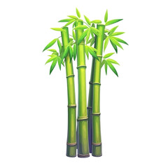 Bamboo shoots vector illustration 