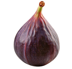 Close up studio shot of a single fresh ripe fig against a transparent background
