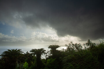 夏の奄美大島の空。積乱雲。夏雲。光。