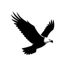 Obraz premium eagle in flight