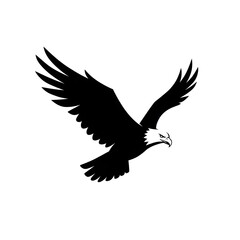 Obraz premium eagle in flight