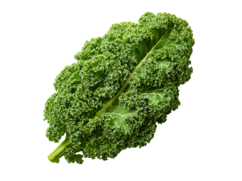 Fresh green kale leaf isolated on black background, Isolated On Transparent Background, Png