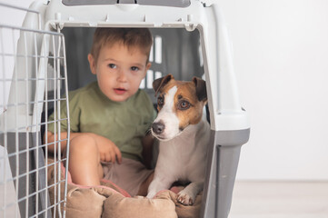 Little child in a cage with a Jack Russell Terrier dog. 