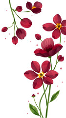 Beautiful Deep Red Flowers