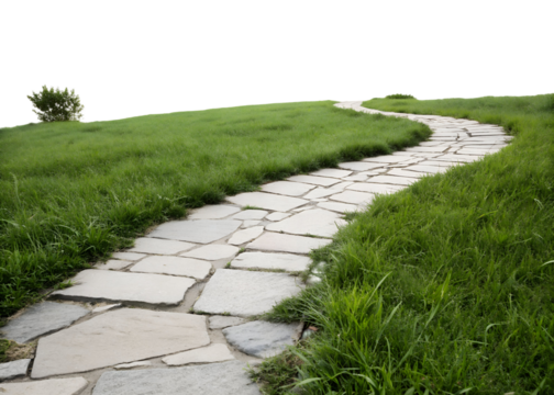 stone pavement path through green grass png image on transparent background