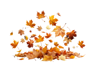 flying dry autumn leaves png image on transparent background
