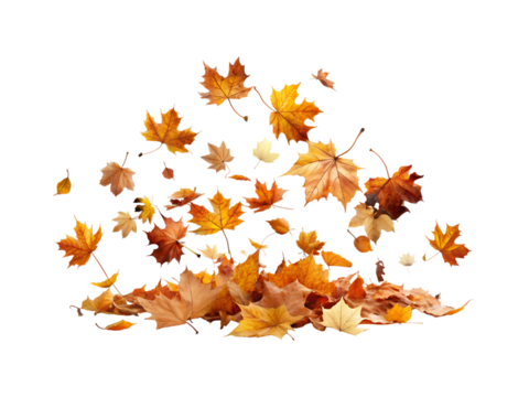 flying dry autumn leaves png image on transparent background