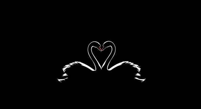 Two swans forming a heart shape