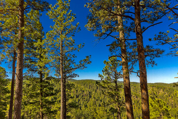 Trestle Recreation Area offers a day-use picnicking site with access to popular area trails. Water, restroom facilities, interpretive information, access to trails, picnic sites.