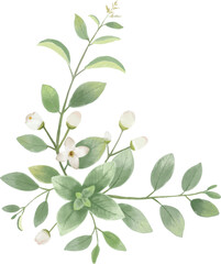 jasmine vectors, floral leaf, green leaves