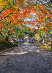 Naklejka premium Scenic view of Jojakkoji Temple with beautiful foliage in autumn in Kyoto, Japan