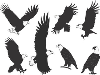 Collection of majestic bald eagles in various dynamic poses showcasing their powerful wings and sharp features