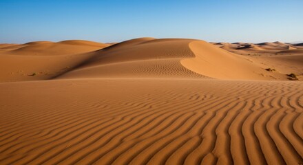 Rolling sand dunes stretch across a vast desert landscape under a clear blue sky.  The sand's texture shows wind-formed ripples