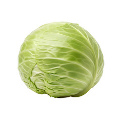 Fresh Head of Green Cabbage.