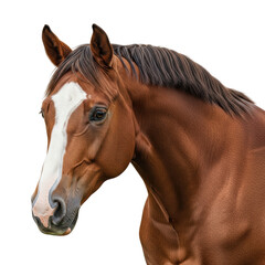 Fototapeta premium Close up portrait of a brown horse featuring a prominent white blaze on its face and a dark mane. Ideal for equestrian themes and animal related projects.