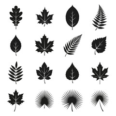 leaf theme icon. nature icon. icon for the environment