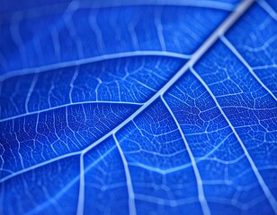 Obraz premium close up of leaf