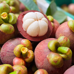 Mangosteen, mangosteen pulp, mangosteen tree, raw mangosteen, white mangosteen