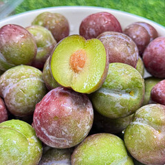 plum Cherry Doi fruit, Thai fruit, cherry blossom tree