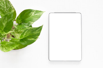 Template, mockup of digital tablet with a blank white screen and plant  over a white wooden background. Concept online shopping, blog, logo, product, and social media. Top view with copy space.