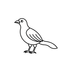 Obraz premium A aven Line art vector illustration.