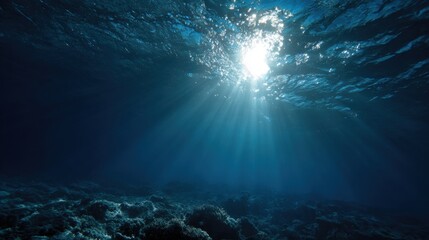 Fototapeta premium Light filters through the ocean's surface, creating rays that illuminate the seabed filled with coral. The vibrant underwater environment showcases marine life and natural beauty.