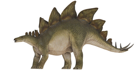 Realistic stegosaurus dinosaur illustration © Ilie