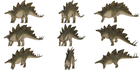 3D render of a Stegosaurus from various angles. © Ilie