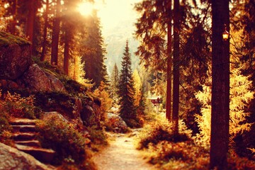 Golden autumn path through a pine forest